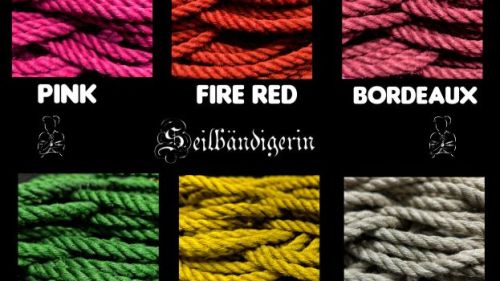 Seilbändigerin - Foto Nr. 5