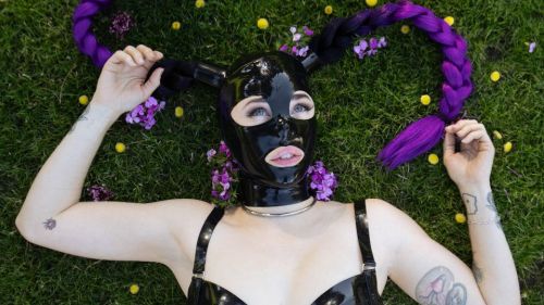 Reese the Ram - Foto Nr. 1