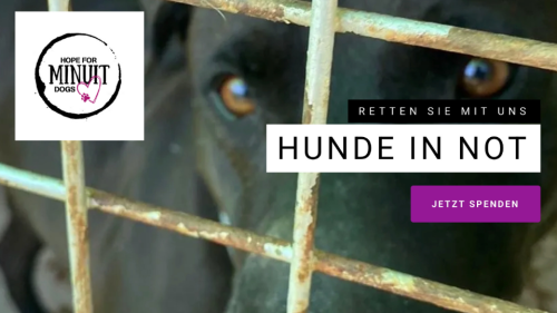 Bild zu Schweizer Tierschutzprojekt