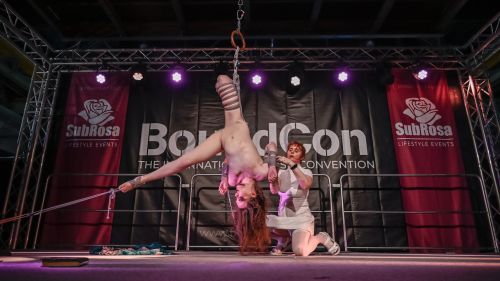 Main Stage Shows - Foto Nr. 9